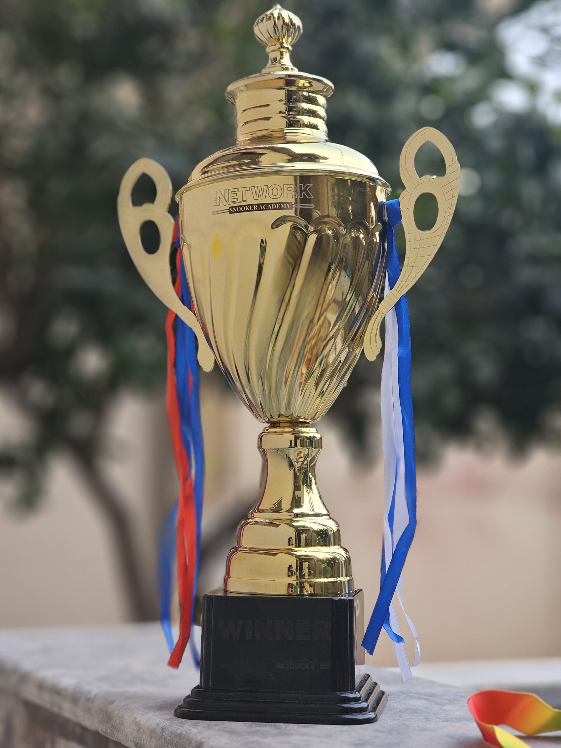 Custom laser engraved trophy